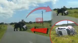 Elephant Flips Over Car