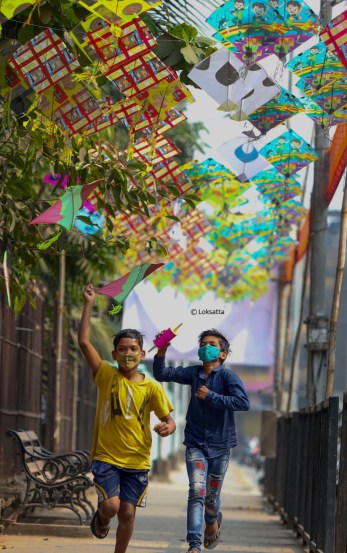 Kites Makar Sankranti 2022