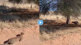 Leopard-Attacked-On-Deer