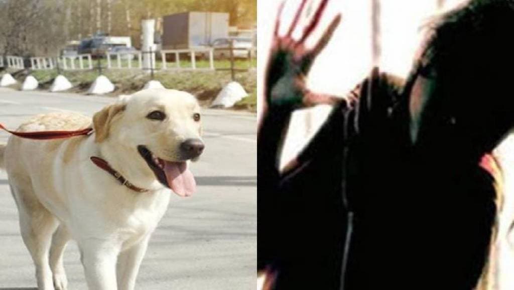 Dog-Rape-Ghaziabad
