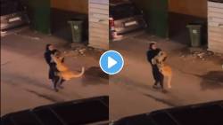 अरे बापरे! सिंहाला कडेवर घेत फिरत होती महिला; VIRAL VIDEO पाहून तुम्ही आश्चर्यचकित व्हाल!