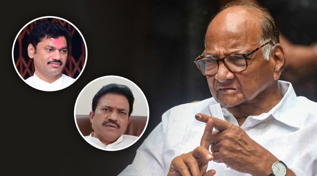 NCP, Nawab Malik, BJP, NCP, Dhananjay Munde, Beed Panchayat Election result, Beed Nagar Panchayat Election result 2022 updates,