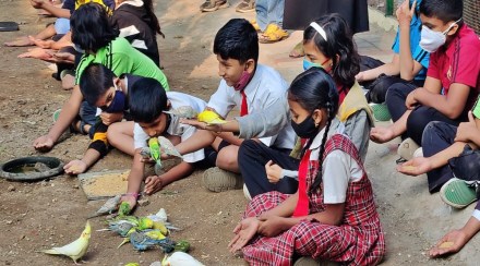 सोलापुरात नववर्षाच्या पहिल्याच दिवशी पोलीस आयुक्तांच्या शासकीय बंगल्यात भरली निसर्गशाळा, पक्षी निरीक्षणात रमले लहानगे