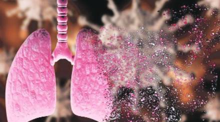 corona_virus_lungs corona_virus_lungs