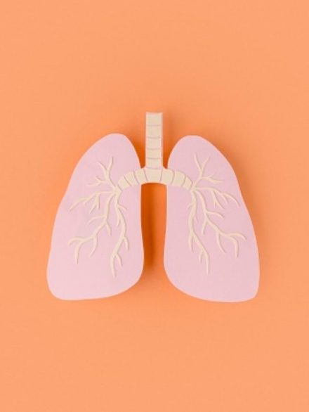 cropped-lungs-health.jpg