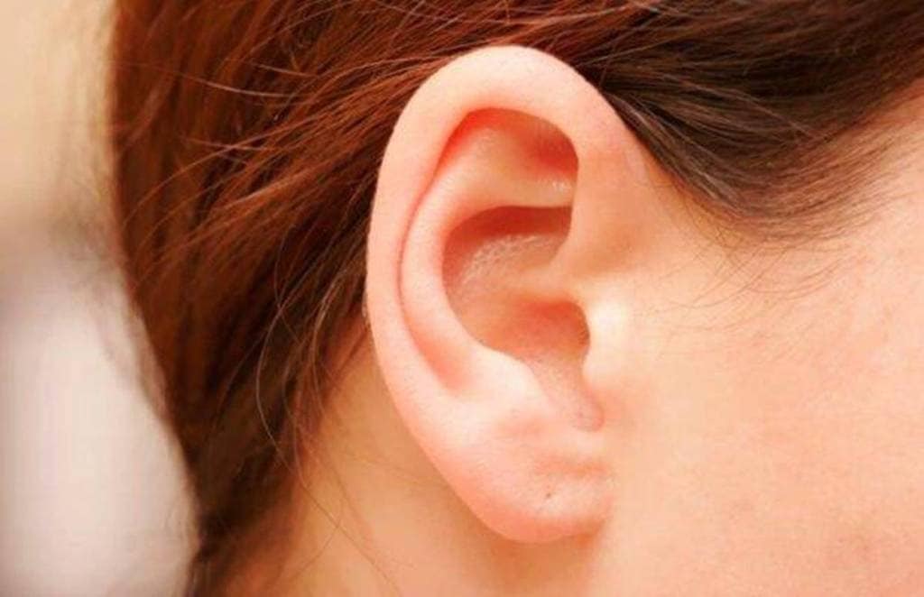 ear ear