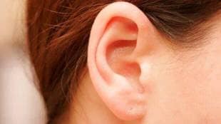 ear