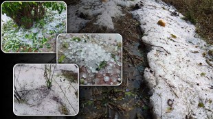 hailstorm in vidarbha