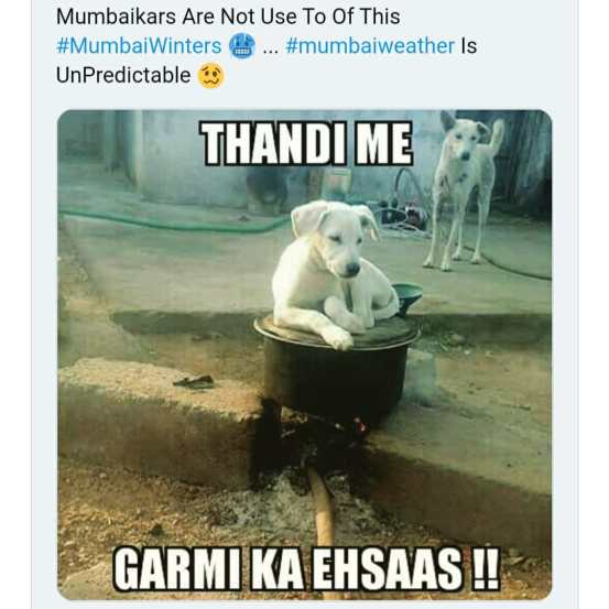 मुंबईत यंदा थंडीच्या हंगामातील सर्वात कमी तापमानची नोंद करण्यात आली आहे.