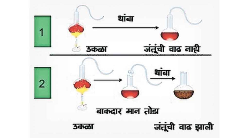 कुतूहल : जंतू सिद्धांत