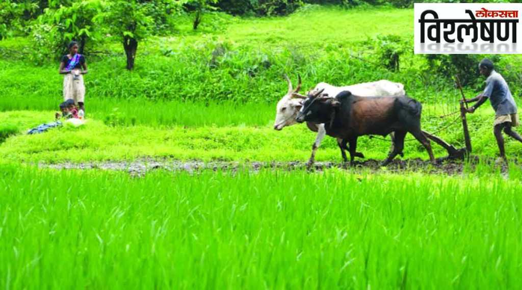 तुम्हाला शेत जमिनीचं वाटप कसं करतात माहिती आहे? वाचा ‘ही’ इतंभूत माहिती…