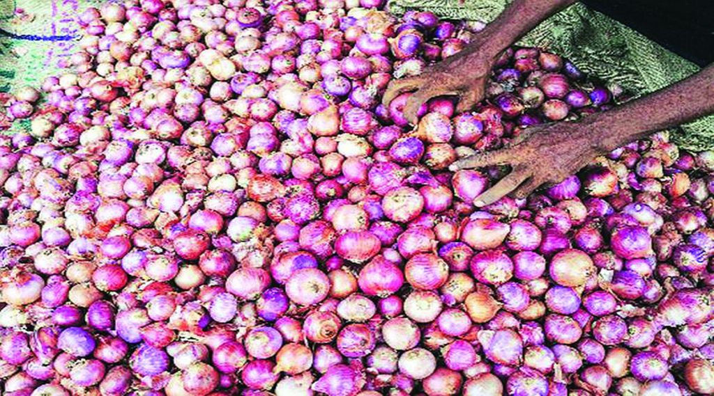 कांदा उत्पादक शेतकऱ्यांची थकबाकी वसूल