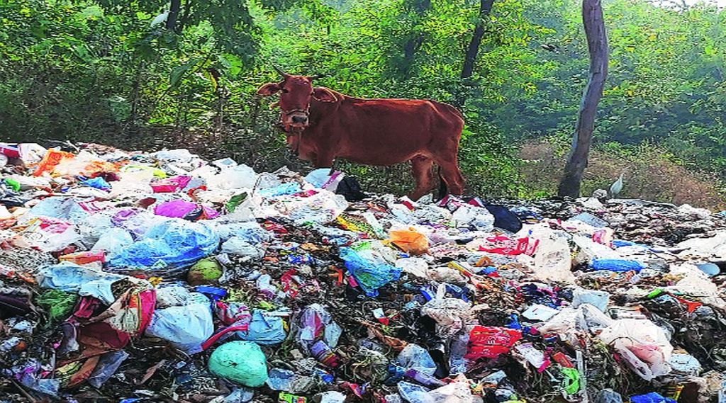 तलासरीत कचराभूमीचा प्रश्न गंभीर