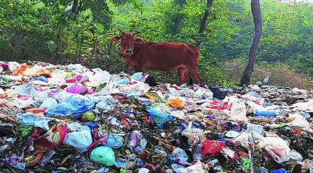 तलासरीत कचराभूमीचा प्रश्न गंभीर तलासरीत कचराभूमीचा प्रश्न गंभीर