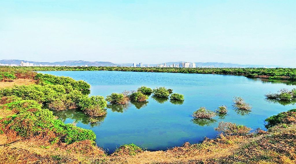 खाडी सुशोभीकरणासाठी ‘सीआरझेड’चे उल्लंघन