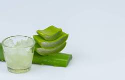 Health Tips : या ५ प्रकारे कोरफडीचे सेवन करा, लठ्ठपणा लगेच कमी होईल