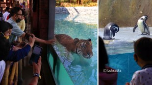 Byculla Zoo Veermata Jijabai Bhosale Udyan