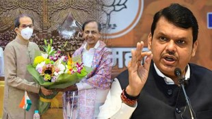 BJP, Devendra Fadanvis, BJP, Telganaga, Lok Sabha Election