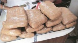 Punjab Election : उडता पंजाब…! निवडणूक प्रचार काळात सुमारे ३०० कोटींचे ड्रग्ज पकडले गेले