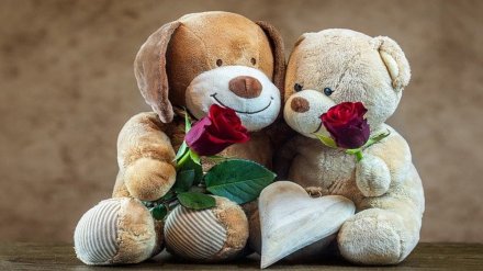 Happy Teddy Day