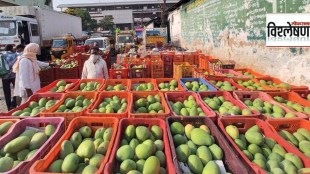 Maharashtra Agriculture Export Policy