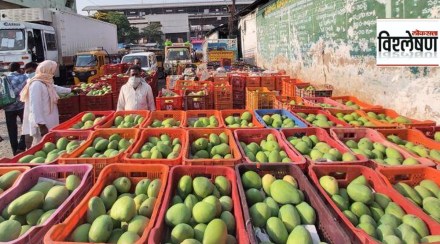 Maharashtra Agriculture Export Policy