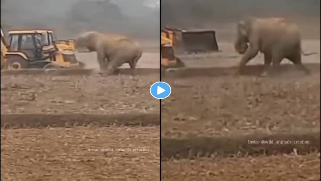 Elephant-And-Crane-Video-Viral