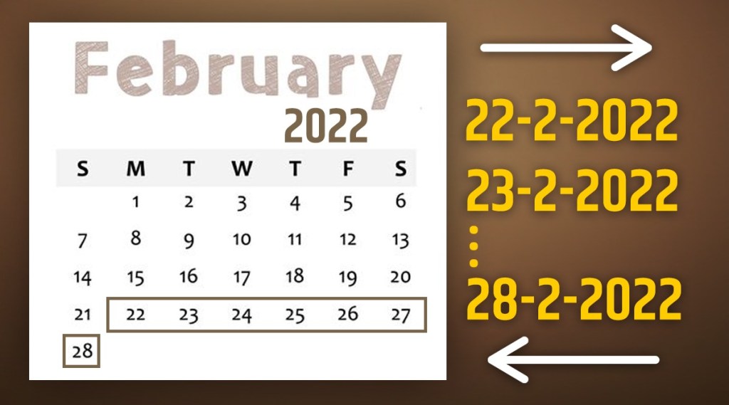 Palindrome week