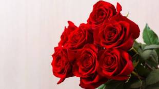 Rose-Day
