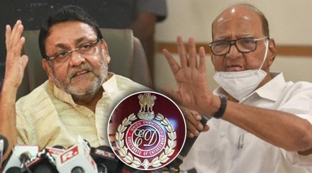 नवाब मलिकांच्या ईडी चौकशीवर शरद पवारांची पहिली प्रतिक्रिया; म्हणाले “मुस्लीम कार्यकर्ता असला तर दाऊदचं…”