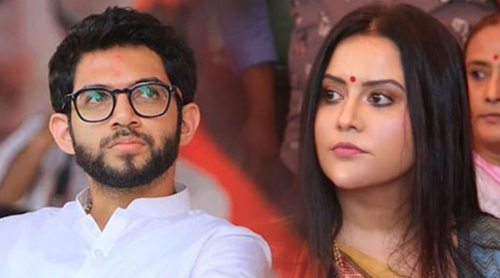 “छोटे राजा साहेब, यापेक्षा मोठी कॉमेडी…;” आदित्य ठाकरेंच्या ‘त्या’ वक्तव्याला अमृता फडणवीसांचं प्रत्युत्तर