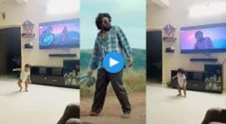 Video Viral: ‘तेरी झलक अशरफी श्रीवल्ली…’ गाण्यावरचा चिमुकल्याचा डान्स एकदा बघाच!