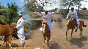 bullock cart race madhu nana pachapute