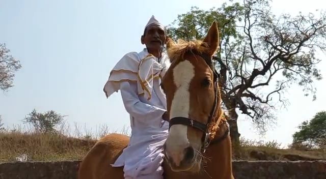 पुण्यातील मावळ तालुक्यात बैलगाडा शर्यतींचे आयोजन करण्यात आले होते. यावेळी घोडीवर स्वार होऊन बैलगाडा शर्यतीच्या पुढे धावणाऱ्या ७५ वर्षीय नानांची सध्या राज्यभरात जोरदार चर्चा आहे.