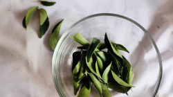 Skin Care: मुरमांवर अत्यंत गुणकारी आहे कडीपत्ता; घरच्या घरी ‘असा’ तयार करा पॅक
