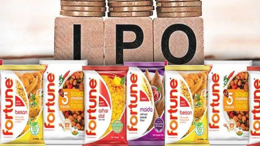 ipo adani
