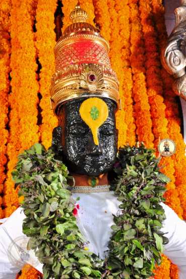 जया एकादशीला भक्त विशेषत: भगवान विष्णू आणि श्री कृष्णाची पूजा करतात. धार्मिक मान्यतेनुसार जया एकादशीचे व्रत केल्याने माणसाला मुक्ती मिळते, पाप-कष्टापासून मुक्ती मिळते, तसेच जीवनातील सर्व आर्थिक संकटे दूर होतात. (photo credit: विठ्ठल रुक्मिणी मंदिर समिती पंढपूर)