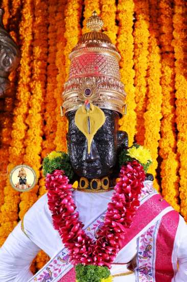 प्रत्येक महिन्याच्या शुक्ल व कृष्ण पक्षांतील अकरावी तिथी एकादशी या नावाने संबोधिली जाते. विष्णूची अत्यंत प्रिय तिथी, अशी तिची प्रसिध्दी आहे. (photo credit: विठ्ठल रुक्मिणी मंदिर समिती पंढपूर)