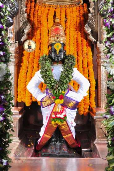 जया एकादशीच्या व्रताने दुःख, दारिद्र्य दूर होऊन धनलाभ, संपन्नता, समृद्धी प्राप्त होते, असे म्हटले जाते.(photo credit: विठ्ठल रुक्मिणी मंदिर समिती पंढपूर)