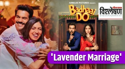 lavender marriage lavender marriage