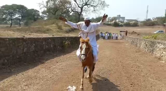 बैलगाड्यांच्या पुढे घोडी पळवणाऱ्या नानांचा व्हिडिओ सोशल मीडियावर व्हायरल झाला असून त्यांच्या धाडसाचं कौतुक होत आहे.