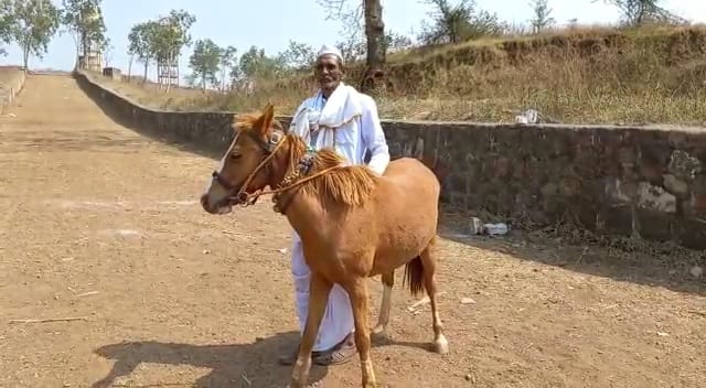 त्यामुळे वयाच्या ७५ व्या वर्षी देखील मधू नाना पाचपुते हे तरुणांसाठी ते प्रेरणादायी ठरत आहेत. (सर्व फोटो - कृष्णा पांचाळ)