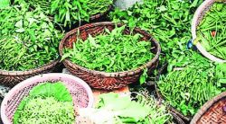 आवक वाढल्याने पालेभाज्यांच्या दरातही घसरण