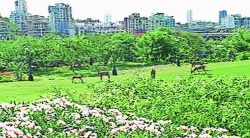 उद्याने सुरू करण्यात अडथळा