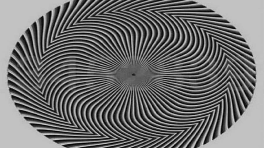 optical-illusion-viral- photo optical-illusion-viral- photo