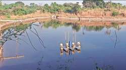 डहाणूत खारफुटीवरील अतिक्रमणामुळे पर्यावरण धोक्यात