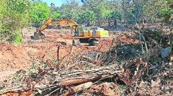 कोटय़वधी रुपयांच्या गौण खनिजांची चोरी