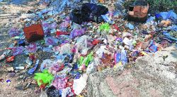प्लास्टिक बंदीचे तीनतेरा