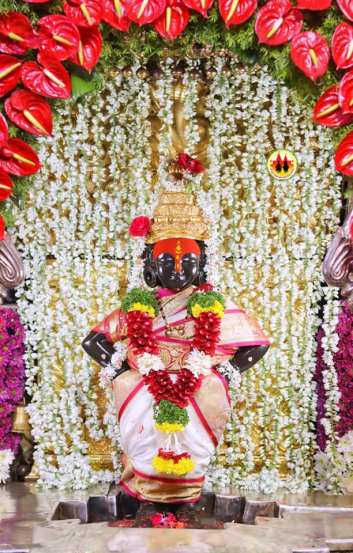 मंगल अक्षता,सनई चौघडे आणि उपस्थित व-हाडी मंडळी उपस्थितीत हा विवाह सोहळा पार पडला.