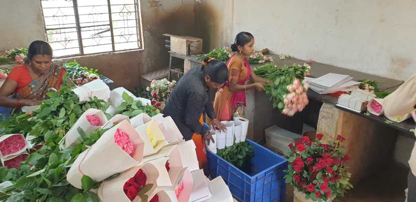 यावर्षी ४० टक्के गुलाब परदेशात तर ६० टक्के हा भारतात विकला जात आहे.